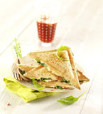 Tefal Ultracompact Sandwichmaker SM1552 | für dreieckige Sandwichtoasts | antihaftbeschichtete Platten | leichte Reinigung | kein Anbrennen | 700W | Sandwich-Grill | 26.5 x 12 x 26 cm, Edelstahl/Schwarz