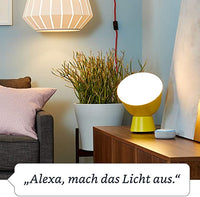 Amazon Smart Plug (WLAN-Steckdose), funktioniert mit Alexa, Gerät "Zertifiziert für Menschen"